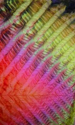 leaflike textured shibori by Joy-Lily